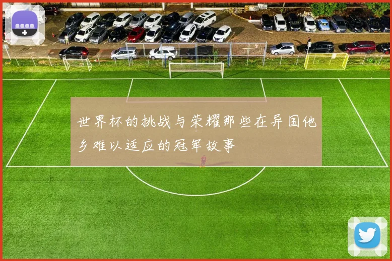 世界杯的挑战与荣耀那些在异国他乡难以适应的冠军故事